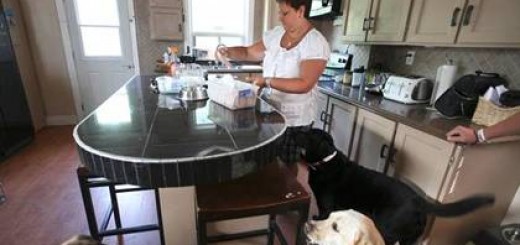 Raw Meat for Dogs: Is the Theory Half Baked?